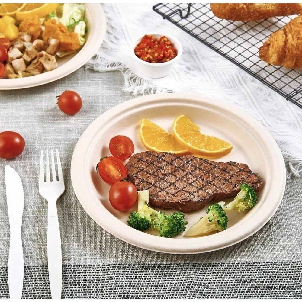 Vplus 150 Pack Compostable Disposable Paper Plates 10.25 inch Super Strong